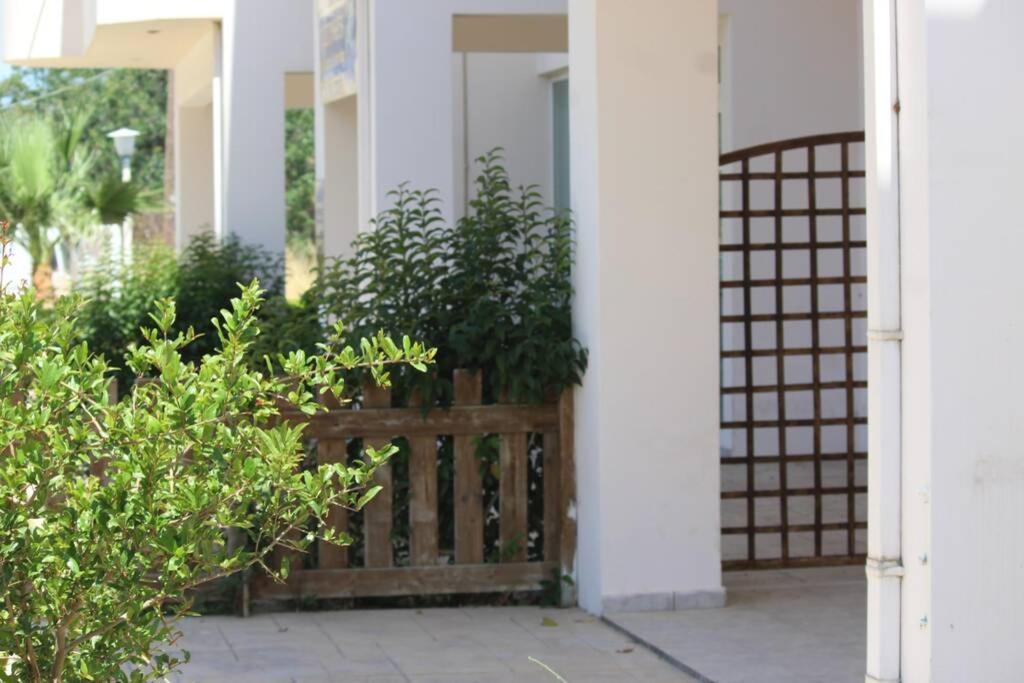 Spacious & Cozy Apartment, With Big Yard, In Kos Bagian luar foto